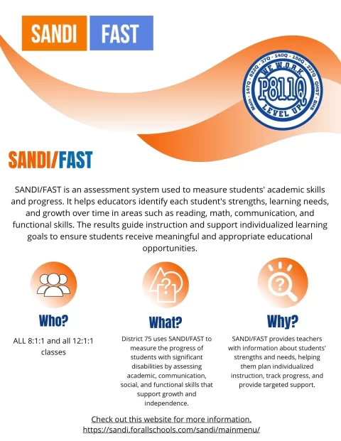 sandifast_1545x1999